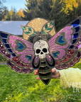 Moth seinäkoriste